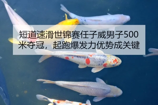 短道速滑世锦赛任子威男子500米夺冠，起跑爆发力优势成关键