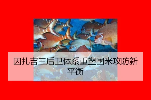 yin-zha-ji-san-hou-wei-ti-xi-zhong-su-guo-mi-gong-fang-xin-ping-heng-2-237.jpg